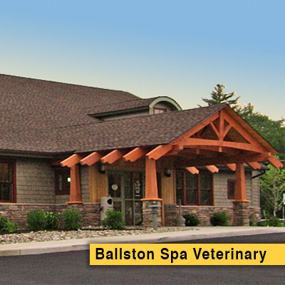 Ballston Spa Veterinary Clinic- Entrance